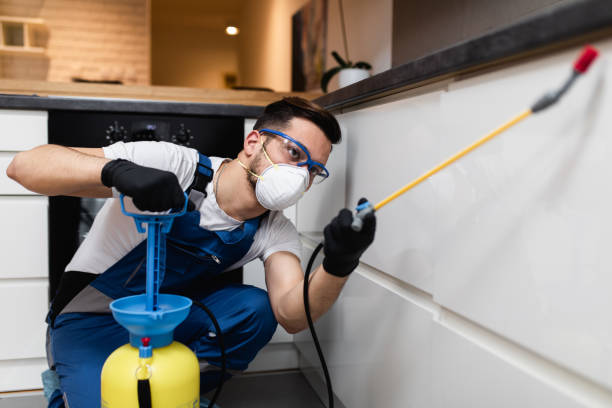 Best Affordable Pest Control Services  in Milmay, NJ