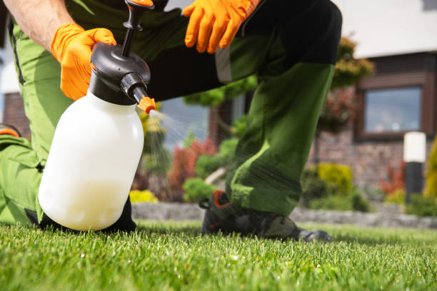 Best Pest Removal Services  in Milmay, NJ