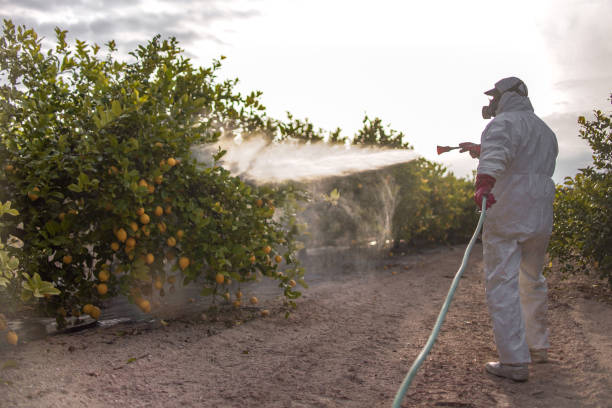 Best Best Pest Control Companies  in Milmay, NJ
