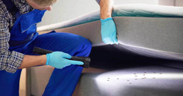 Best Termite Control Services  in Milmay, NJ